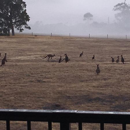 Margaret River Farmhouse Rosa Glen المظهر الخارجي الصورة