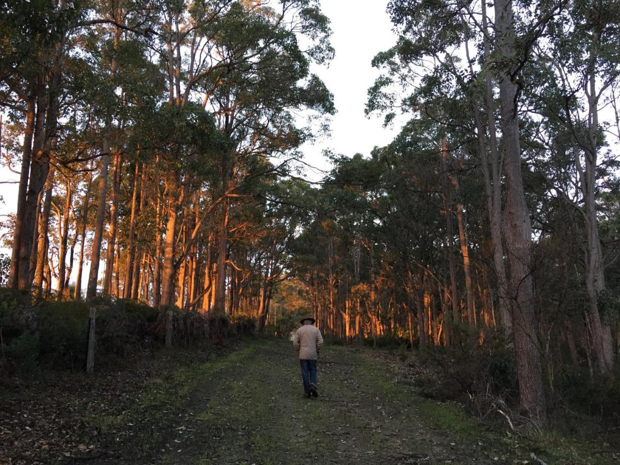 Margaret River Farmhouse Rosa Glen المظهر الخارجي الصورة