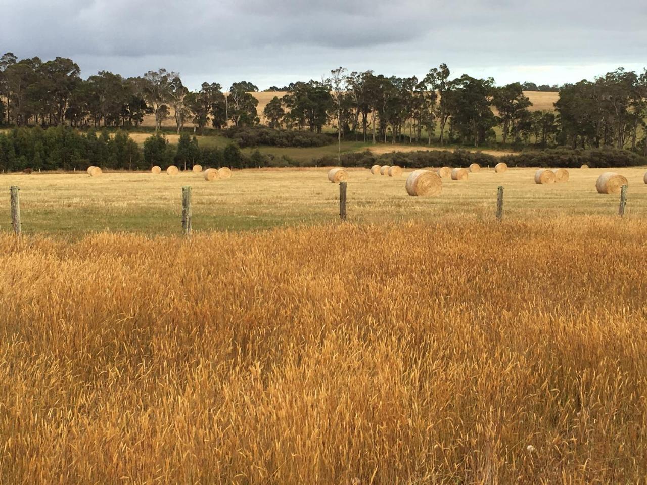 Margaret River Farmhouse Rosa Glen المظهر الخارجي الصورة