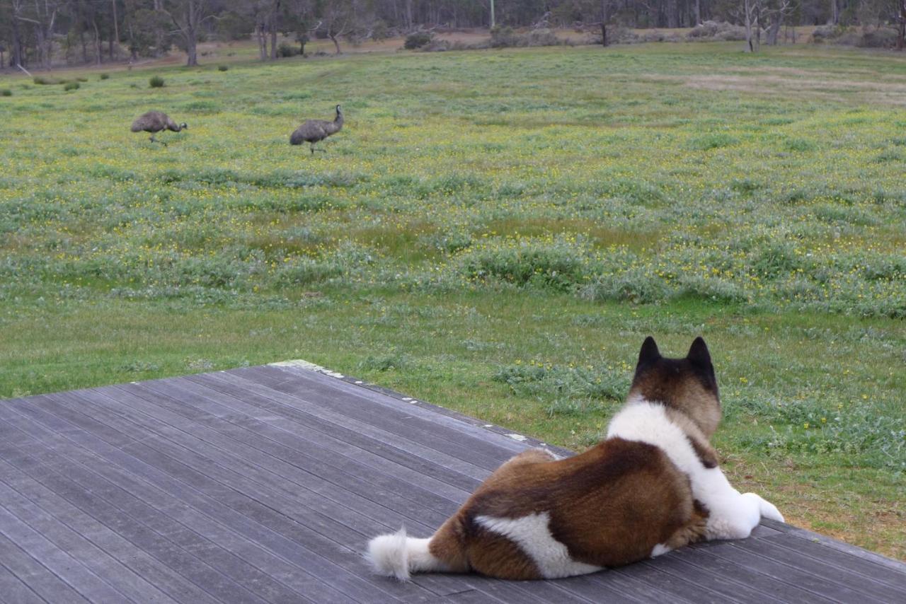 Margaret River Farmhouse Rosa Glen المظهر الخارجي الصورة