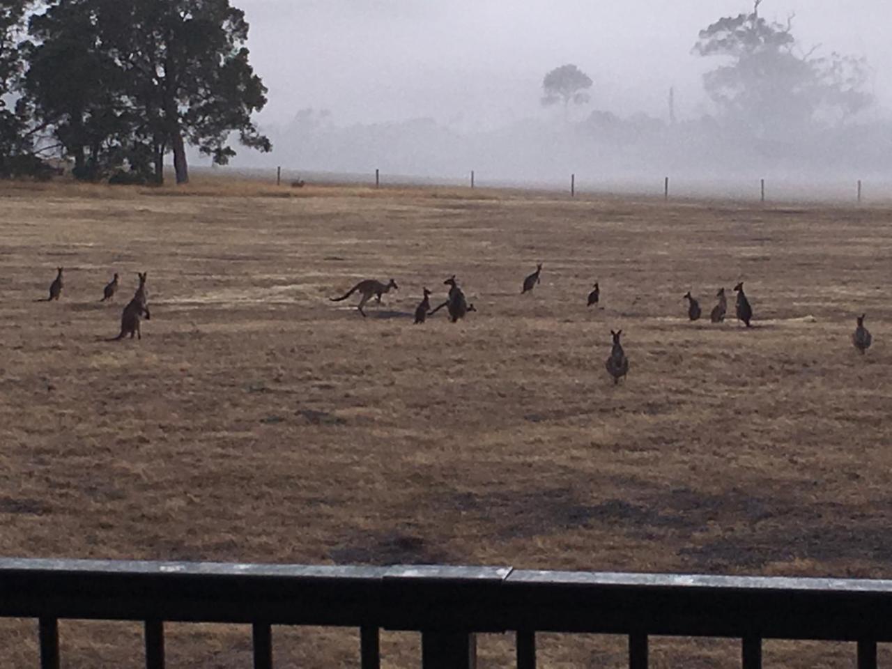 Margaret River Farmhouse Rosa Glen المظهر الخارجي الصورة